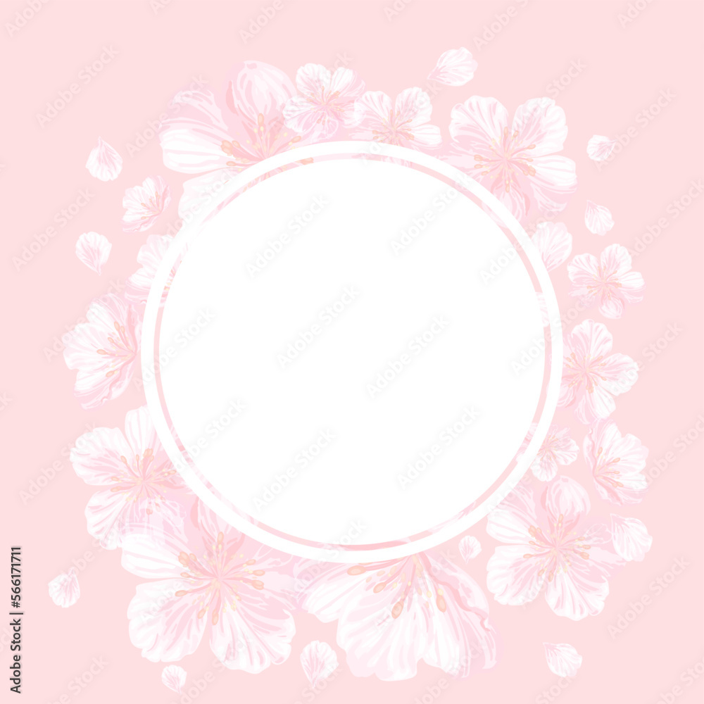 Sakura flowers frame on pink background