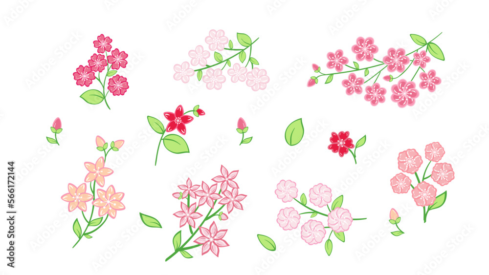 Set of cherry blossoms on branches Set of cherry blossoms on branches