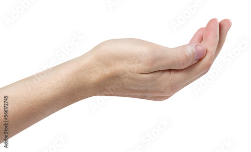 Outstretched hand gesture, holding, asking or offering something, cut out