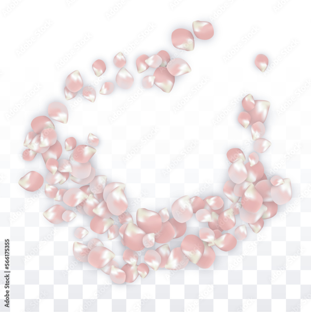 Pink Vector Realistic Petals Falling on Transparent Background.  Spring Romantic Flowers Illustration. Flying Petals. Sakura Spa Design. Blossom Confetti. Design Elements for Wedding Decoration.