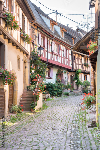 Half-timbered houses in Eguisheim  Alsace  France