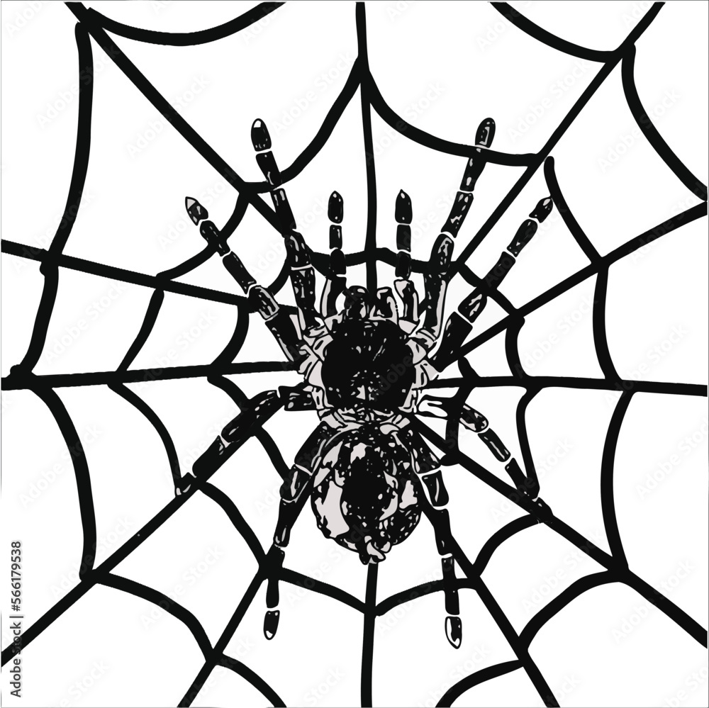 Illustration graphic image of spider on spider web in black and white color.
Suitable design for t-shirt, tattoo design, card, logo etc Illustration graphic image of spider on spider web in black and white color.
Suitable design for t-shirt, tattoo design, card, logo etc