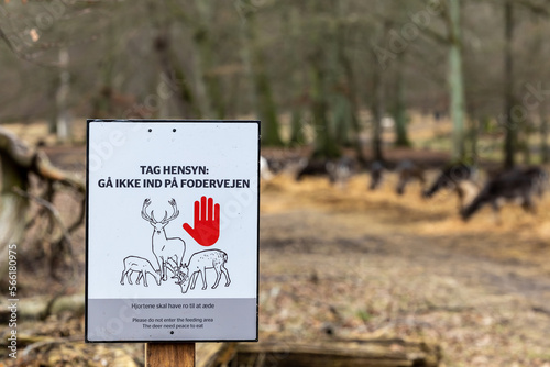 Copenhagen, Denmark Deer grazing in  the Deer Park and a sign in Danish saying: Stop. Don't feed the animals. photo