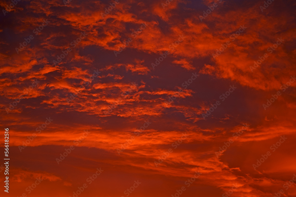 Red sunset. Amazing summer sunrise background. Beautiful blazing sunset