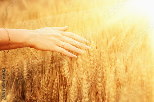 Happy woman enjoying the life in the sunny wheat field. Agriculture harvest  food industry concept