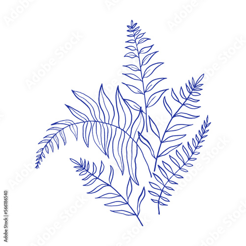 Bouquet of beautiful fern branches.