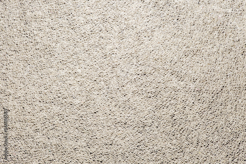 Wallpaper Mural Paper rolled end face, close-up macro view, background wallpaper, uniform texture pattern Torontodigital.ca