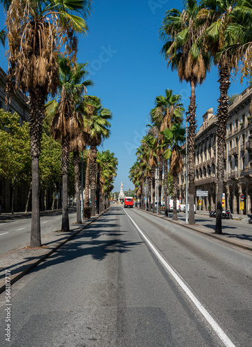 Straße mit Palmen, Barcelona, Katalonien, Spanien © spuno