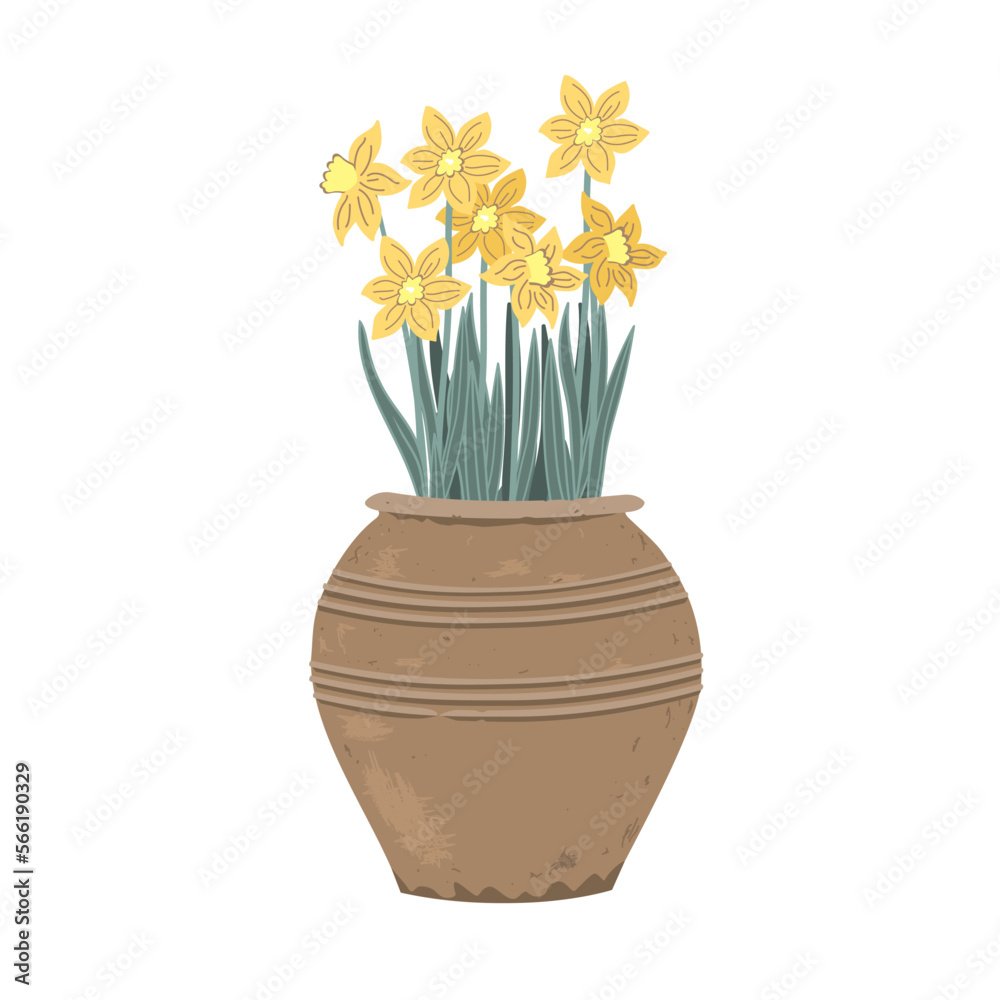Potted Daffodil plant. First Spring Flowers in a vintage clay pot. Vector illustration isolated on a white background