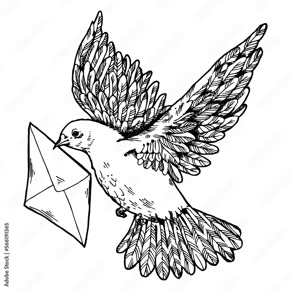 Postal dove with letter engraving style PNG illustration with