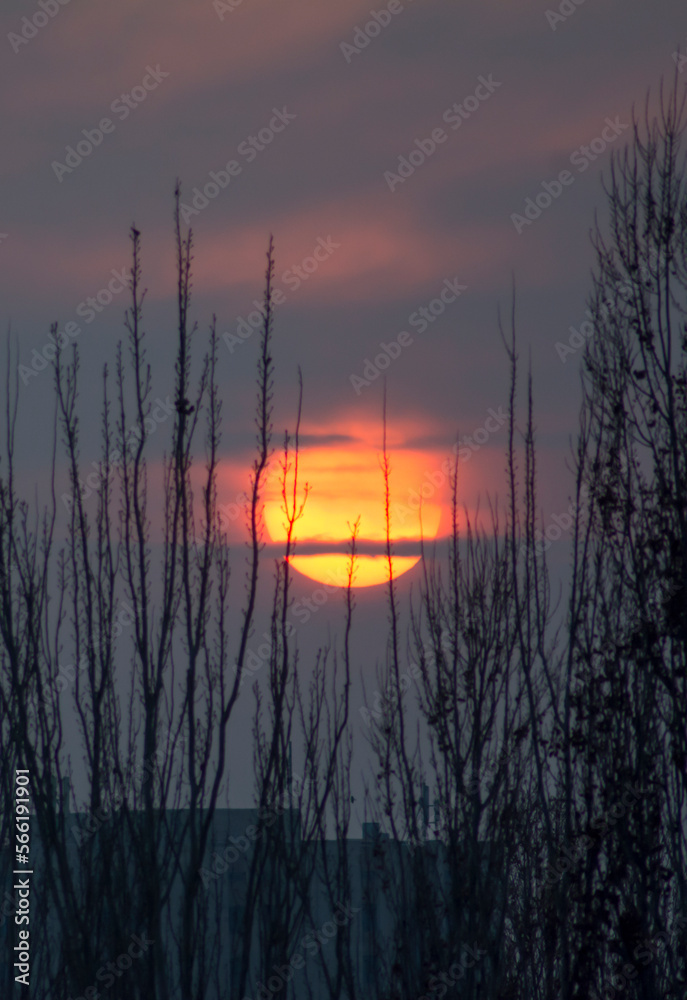 Fantastic sunset. A huge red sun goes to the west. Space landscape.