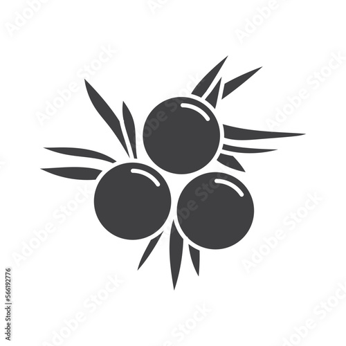Juniper Berries icon flat design vector illustration.