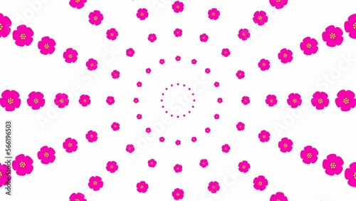 Animated increasing magenta beautiful flower circles from the center. Flower background. Looped video. Concept of spring. Vector illustration isolated on white background. photo