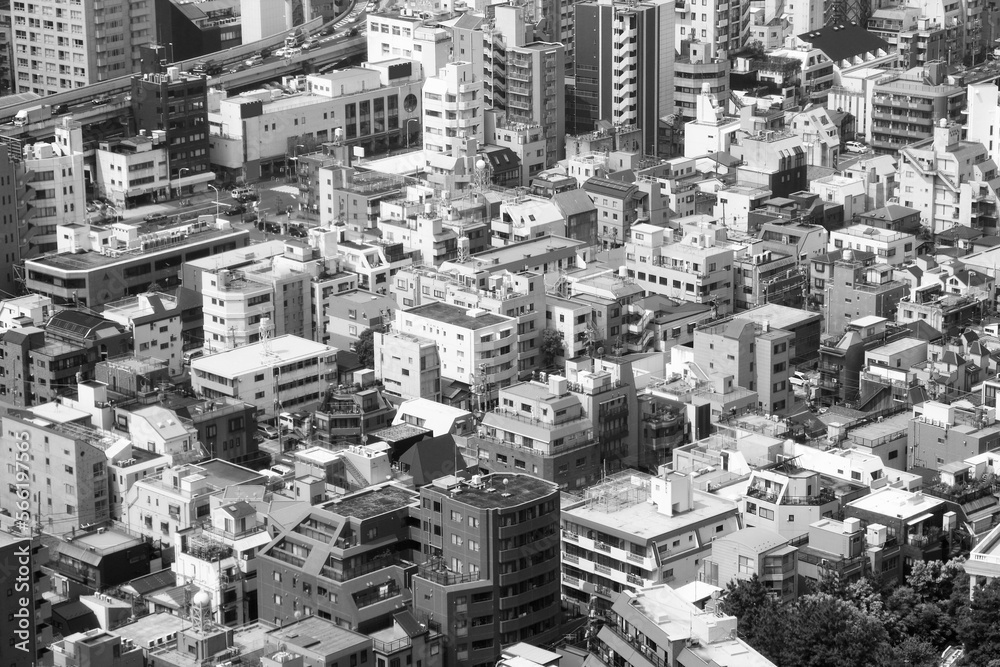 Tokyo city, Japan. Minato Ward. Black and white vintage style Japan photo.
