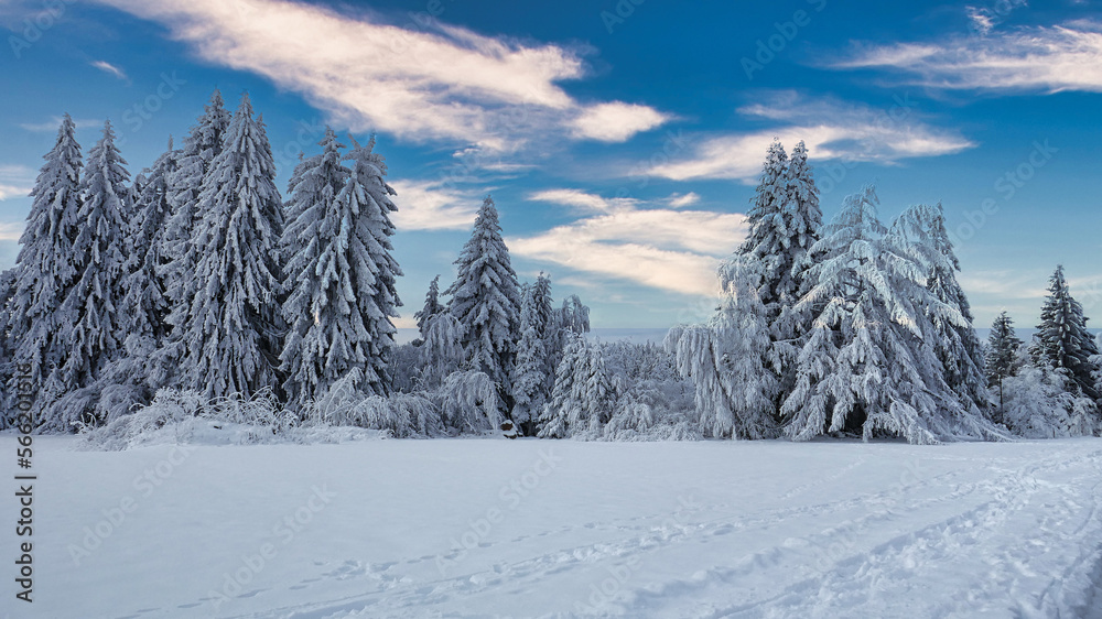 Traumhaft schöne Winterlandschaft im Naturpark Nordschwarzwald