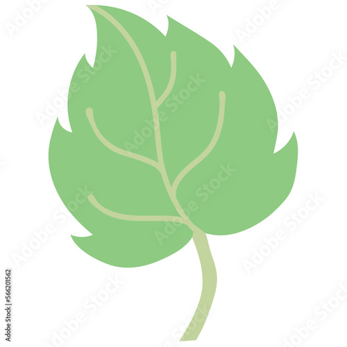 LEAF