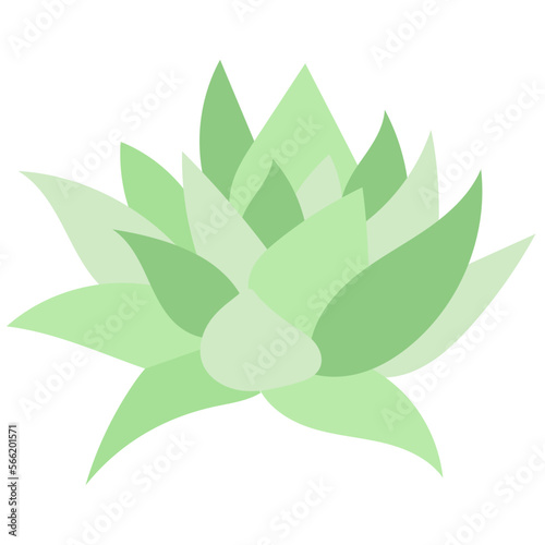 LEAF