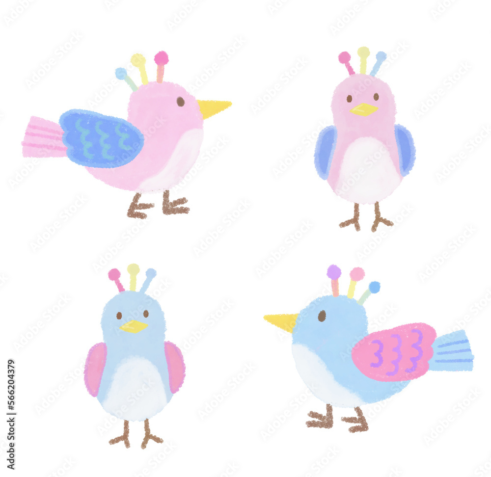 colorful bird illustrations colorful bird illustrations