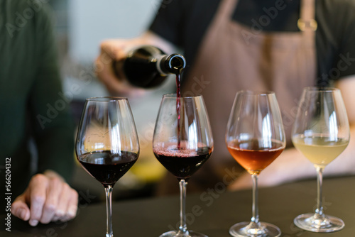 pouring different wines into the glasses arranged for the wine tasting on the counter