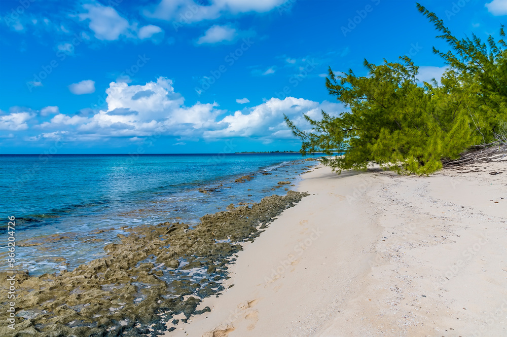 A view along a sandy the beach with rocky shore on the island of Eleuthera, Bahamas on a bright sunny day