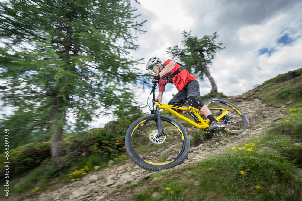 Mountain biker riding down hill on forest path, Trentino-Alto Adige, Italy Mountain biker riding down hill on forest path, Trentino-Alto Adige, Italy