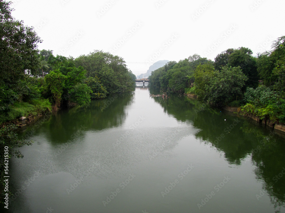 A canal through green mangroves in the city of Vijayawada in Andhra Pradesh, India.