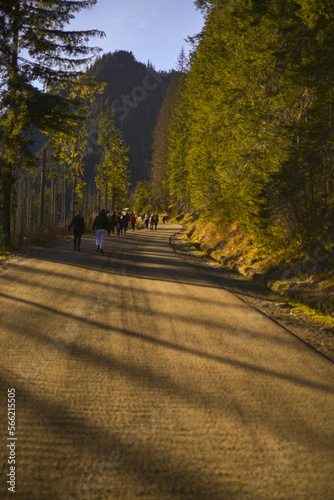 tourists walk in the national mountain park, soft focus