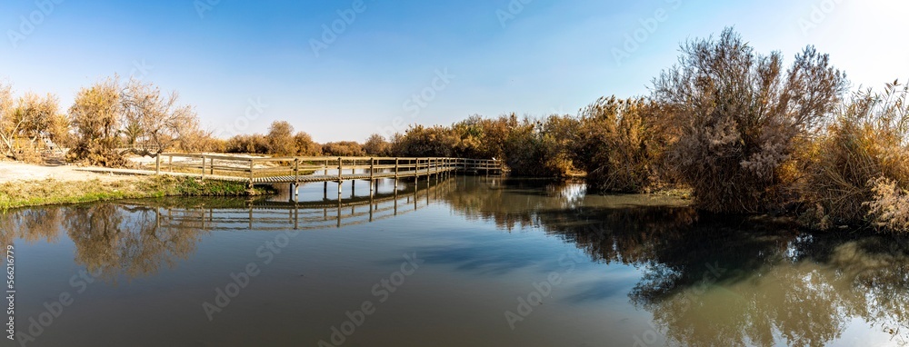 محمية الازرق المائية - الاردن
Azraq Water Reserve - Jordan