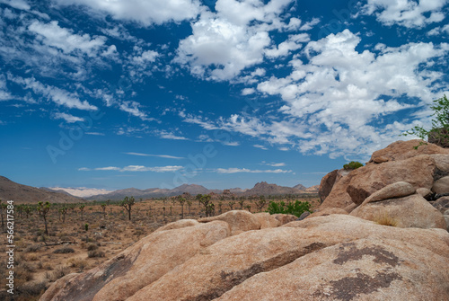 Desert Bedrock