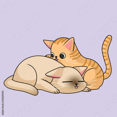 2 cats resting