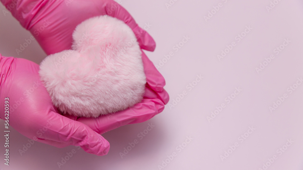 A fluffy toy plush pink heart in his hands wearing medical gloves on a pink background. cardiologist, valentine's day at the doctor's office A fluffy toy plush pink heart in his hands wearing medical gloves on a pink background. cardiologist, valentine's day at the doctor's office