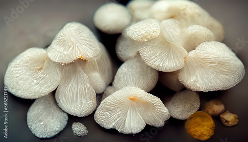 White mushrooms in bin food