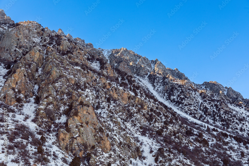 Snow capped mountains during winter