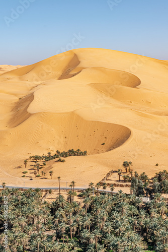 Taghit town of Bechar  Algeria Sahara desert. Palm trees oasis  a cane built small surrounding wall  national road and sand dune with a blue clear sky. From Djebel Baroun 