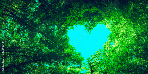 a panorama spring forest trees in the center of the heart on Valentine's Day