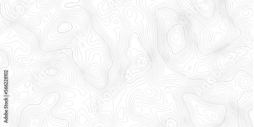 Abstract pattern with lines . Abstract Vector geographic contour map and topographic contours map background. Abstract white pattern topography vector background. Topographic line map background.