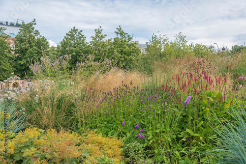 A composition of fashionable ornamental herbs