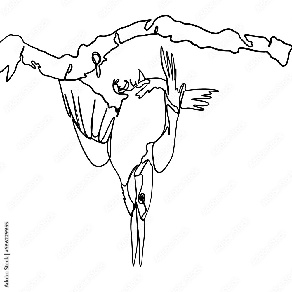 one line drawing bird vector, illustration minimalism birds flying on ...