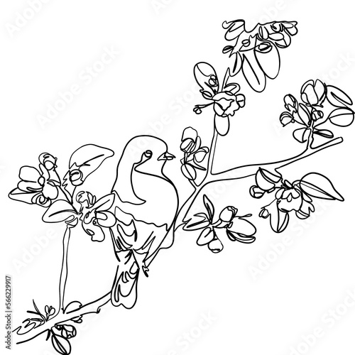 one line drawing bird vector, illustration minimalism birds flying on the sky. Concept off freedom animal hand drawn sketch design. Simplicity sttyle. Botanical and birds wall art vector. Earth care.