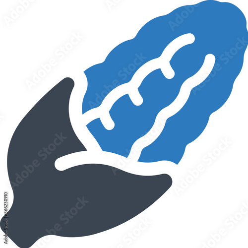 Maize icon