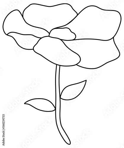 hand drawn line art illustration of flower minimalist 