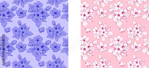 Drawn apple blossom. Spring. The first flowers. Tree. Spring flowers. Apple tree. Set. Holidays. Invitations. Wedding. Set of floral patterns. Seamless vector pattern. 