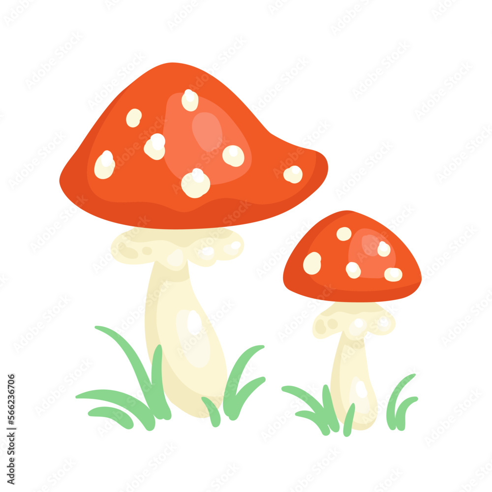 Two red fly agarics. In cartoon style. Isolated on white background. Vector flat illustration.