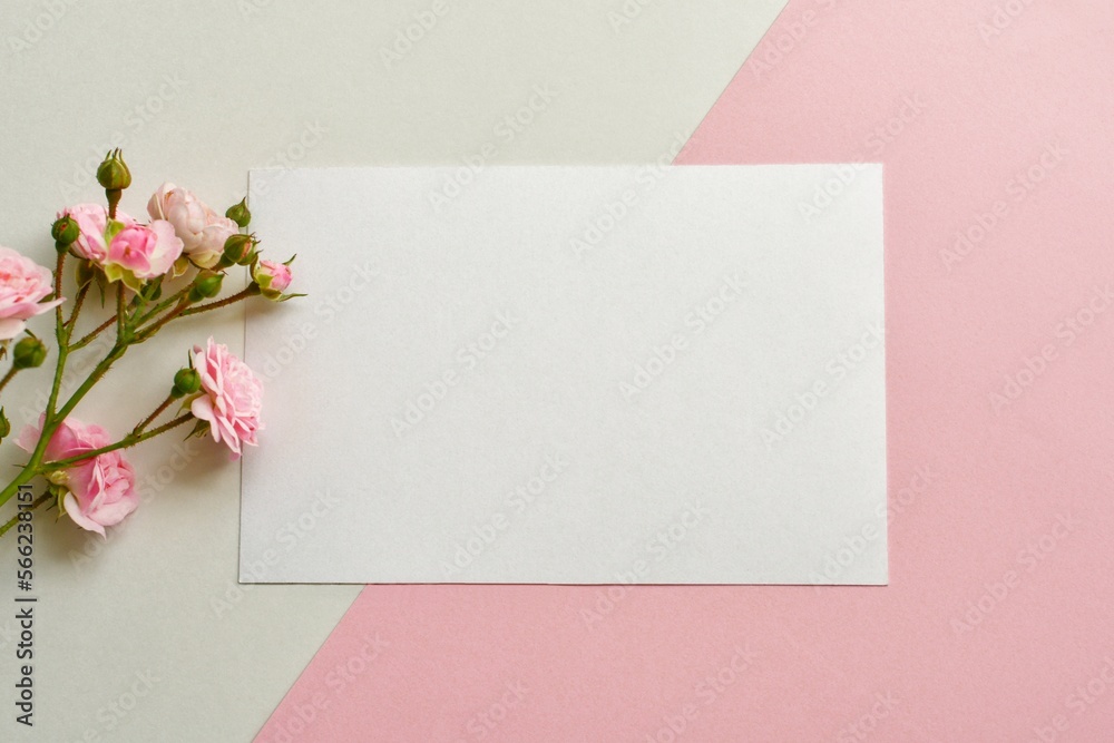 Mockup of white blank card and pink roses on diagonal pink and white background closeup. Valentine's Day, wedding, Mother's Day greeting card Mockup of white blank card and pink roses on diagonal pink and white background closeup. Valentine's Day, wedding, Mother's Day greeting card