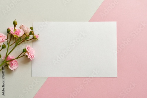 Mockup of white blank card and pink roses on diagonal pink and white background closeup. Valentine's Day, wedding, Mother's Day greeting card 