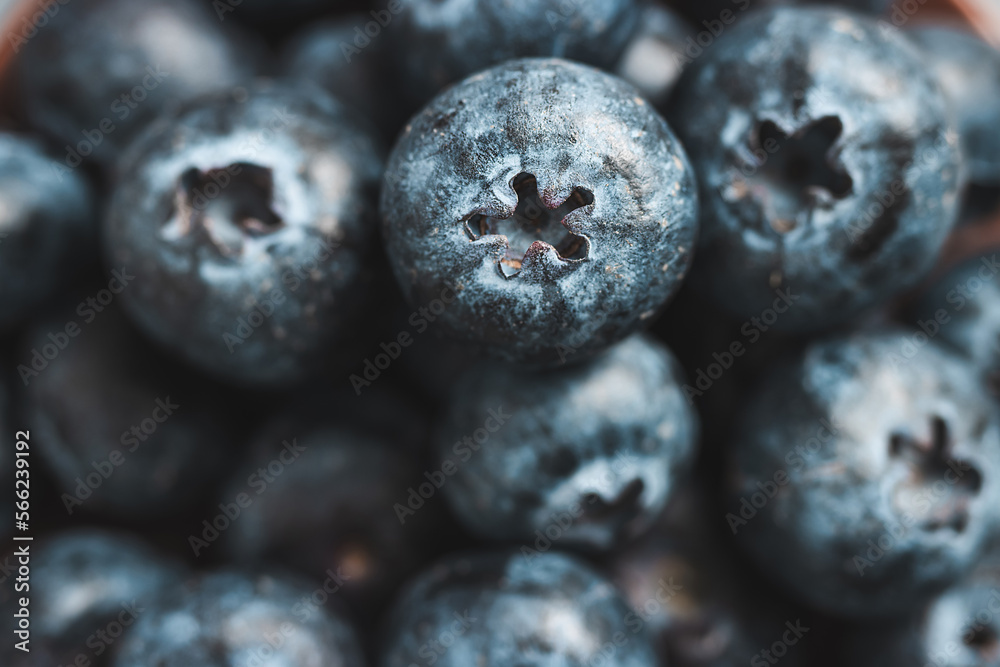 Fresh blueberries, close up view Fresh blueberries, close up view
