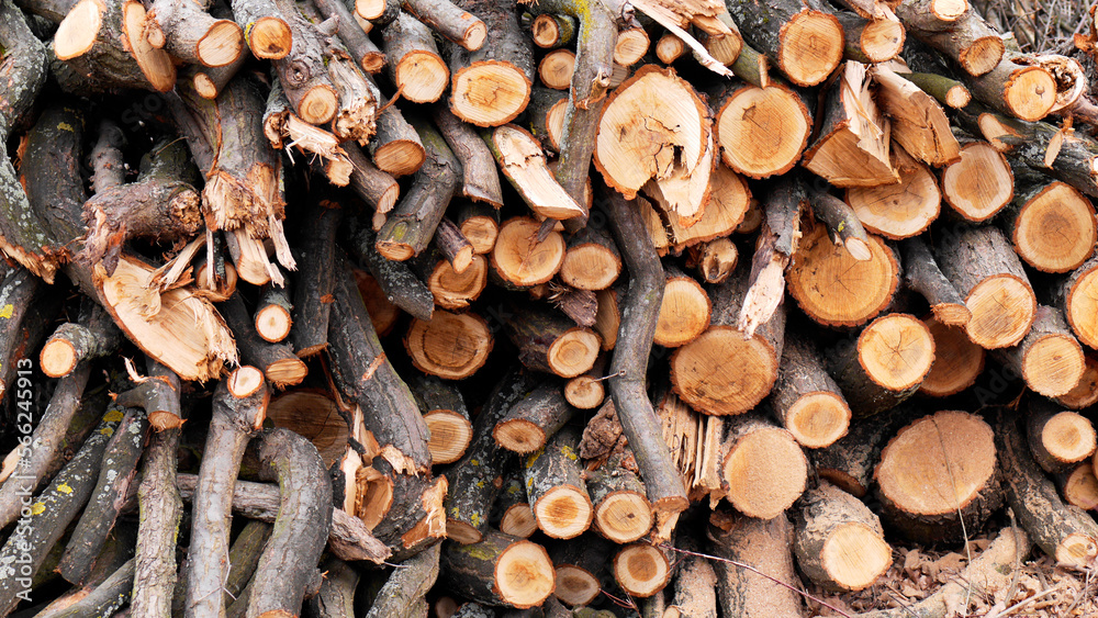 Chopped wood in framefilling stacked pile | cut firewood logs stack for heating Chopped wood in framefilling stacked pile | cut firewood logs stack for heating