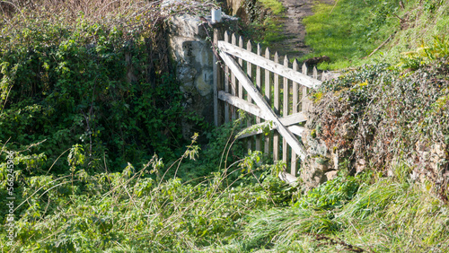 Puerta de madera en jardín de casa rural
