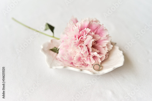 Fototapeta Naklejka Na Ścianę i Meble -  pink carnation flower
