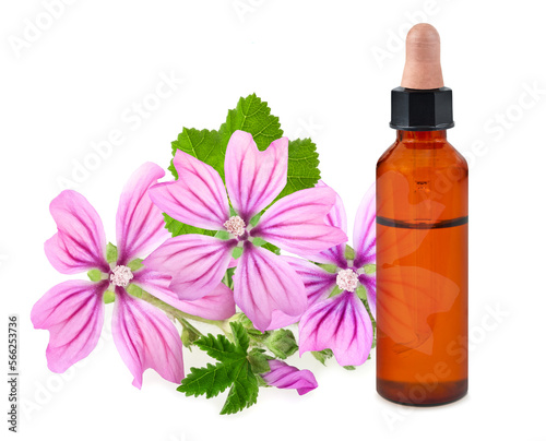 Mallow flowers with essence bottle